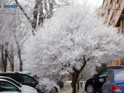 Снег, метель и ветер взбудоражат ставропольцев в начале следующей недели