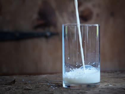 Буденновский молзавод из 68 кг сырья выпустил 165 кг сомнительного продукта