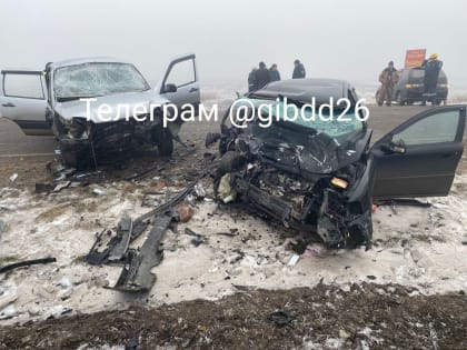 2 человека погибли и 3 получили ранения в аварии на Ставрополье