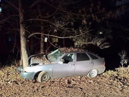 В Ессентуках 17-летний подросток без прав врезался в дерево