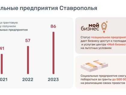 За два года количество социальных предприятий на Ставрополье удвоилось