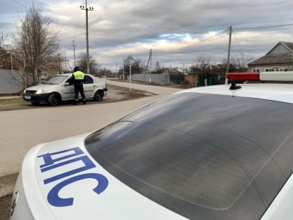 За 7 дней профилактических мероприятий «Пешеход» сотрудниками Госавтоинспекции Кировского муниципального округа привлечено к ответственности 46 пешеходов за переход проезжей части 