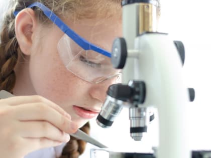 В. Владимиров: В этом году откроем первый в регионе центр «Сириус26»