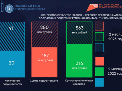 Более 563 млн рублей получил за 2 месяца малый и средний бизнес Ставрополья под поручительства региональной гарантийной организации