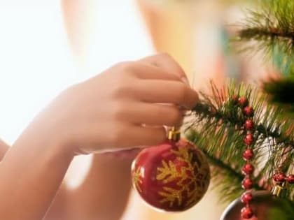 Как правильно избавиться от новогодней елки?