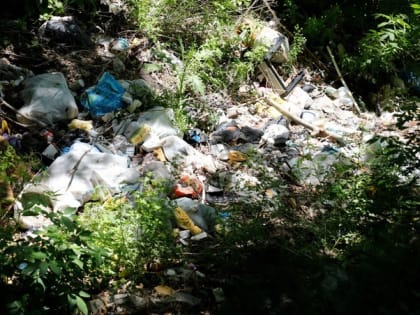 В Изобильненском округе выявили птичий грипп
