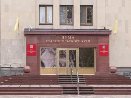 Краевые депутаты попросят у федерального центра полномочия для решения проблемы бездомных животных