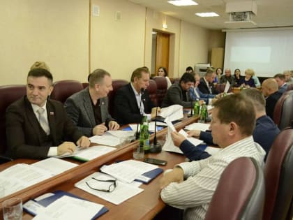 Дума Невинномысска обсудила бюджет и благоустройство города