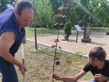 В Труновском районе заложен «Сад памяти»