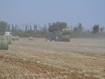 В Кировском городском округе активно проводится заготовка кормов на период зимовки 2022-20203 годы