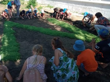 В Спицевке появилась новая клумба Z