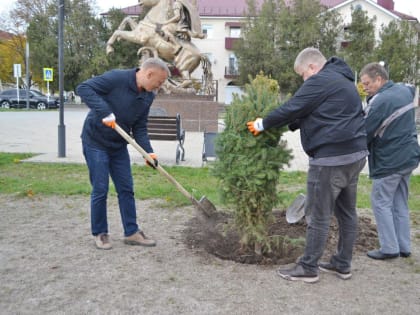 Зеленый уголок на площади Победы