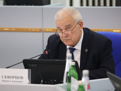 Проект закона, упрощающий декларирование доходов и имущества депутатов на непостоянной основе, проработан в профильном комитете Думы