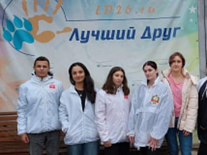 Волонтеры студенческого добровольческого центра СтГМУ провели акцию, приуроченную ко Всемирному дню защиты животных