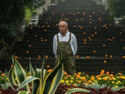 Для съёмок на Кавминводах дождя из апельсинов в фильме «Чебурашка» использовали 6 тонн фруктов
