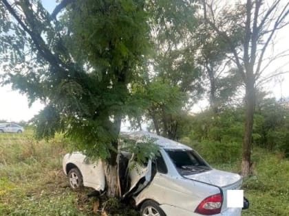 В Грачевском округе начинающий водитель совершил съезд с дороги