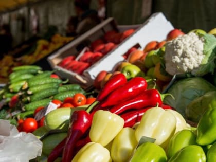 Две сети дискаунтеров увеличат долю ставропольских продуктов на полках