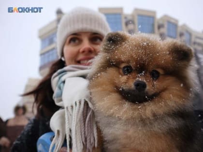 Ставропольские спасатели рассказали о правилах безопасности во время зимних прогулок