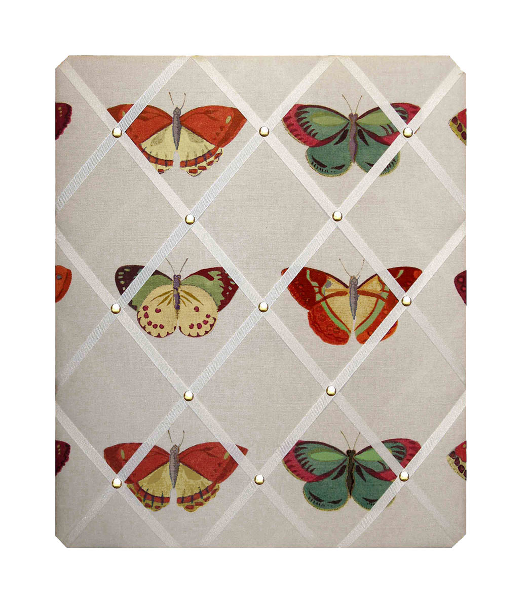 Notice Board – Painted Lady