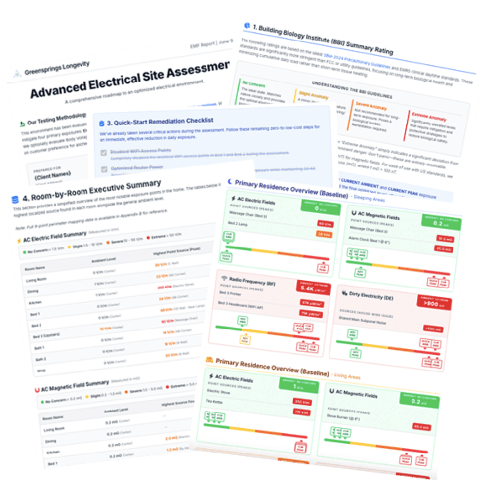Pages from a sample EMF assessment report