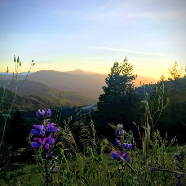 A mountain valley at sunset