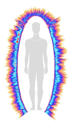 Bio-Energetic Analysis of Sauna and Orgone Blanket Synergy