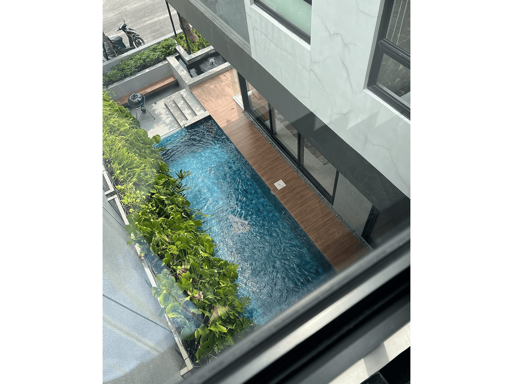 Maple — image 4