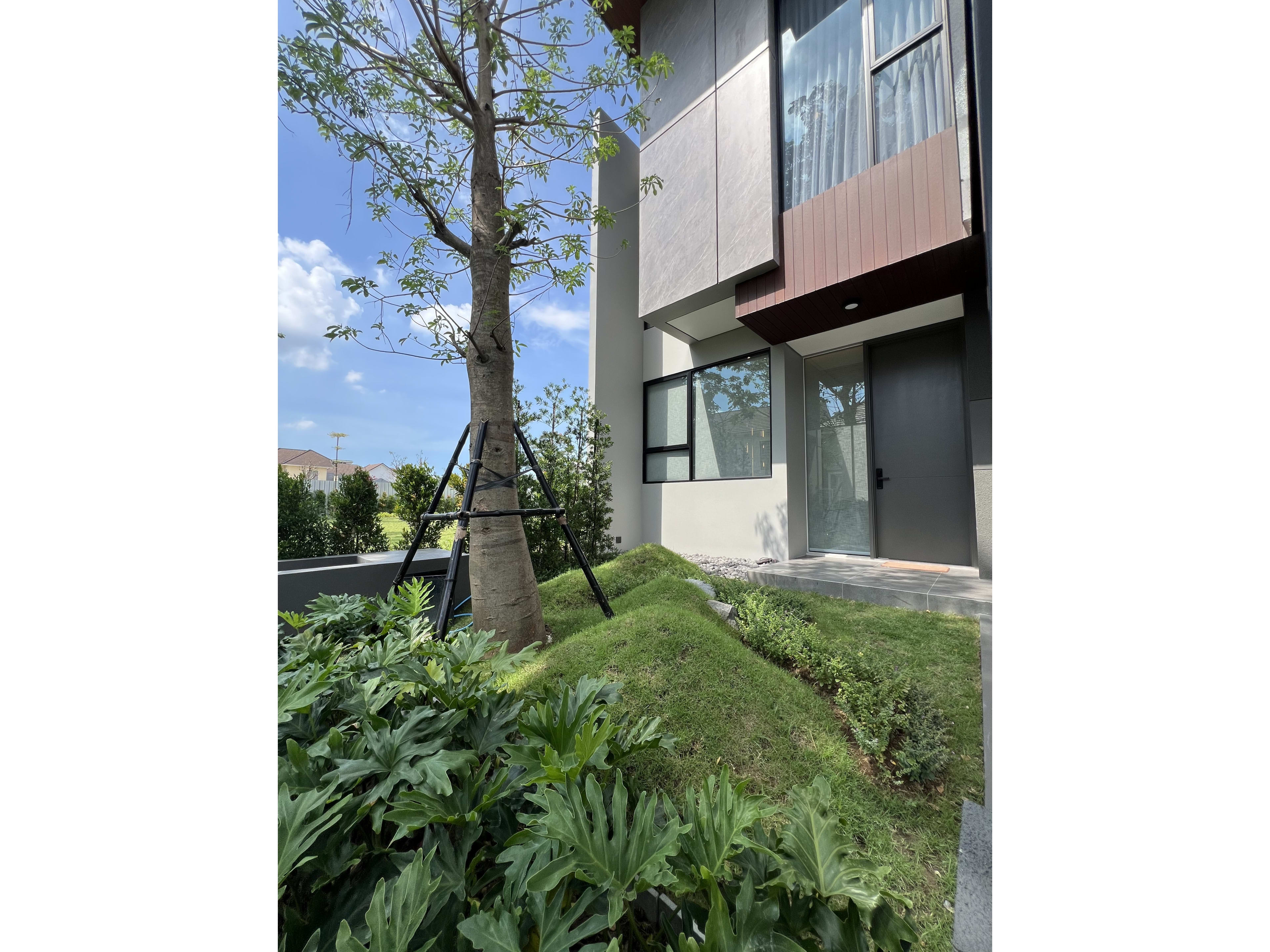 Arden Deluxe — image 21