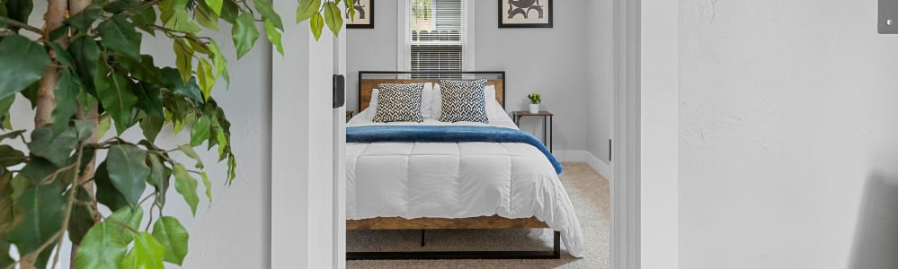 Luxury vacation rental interior