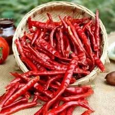 Red Chili