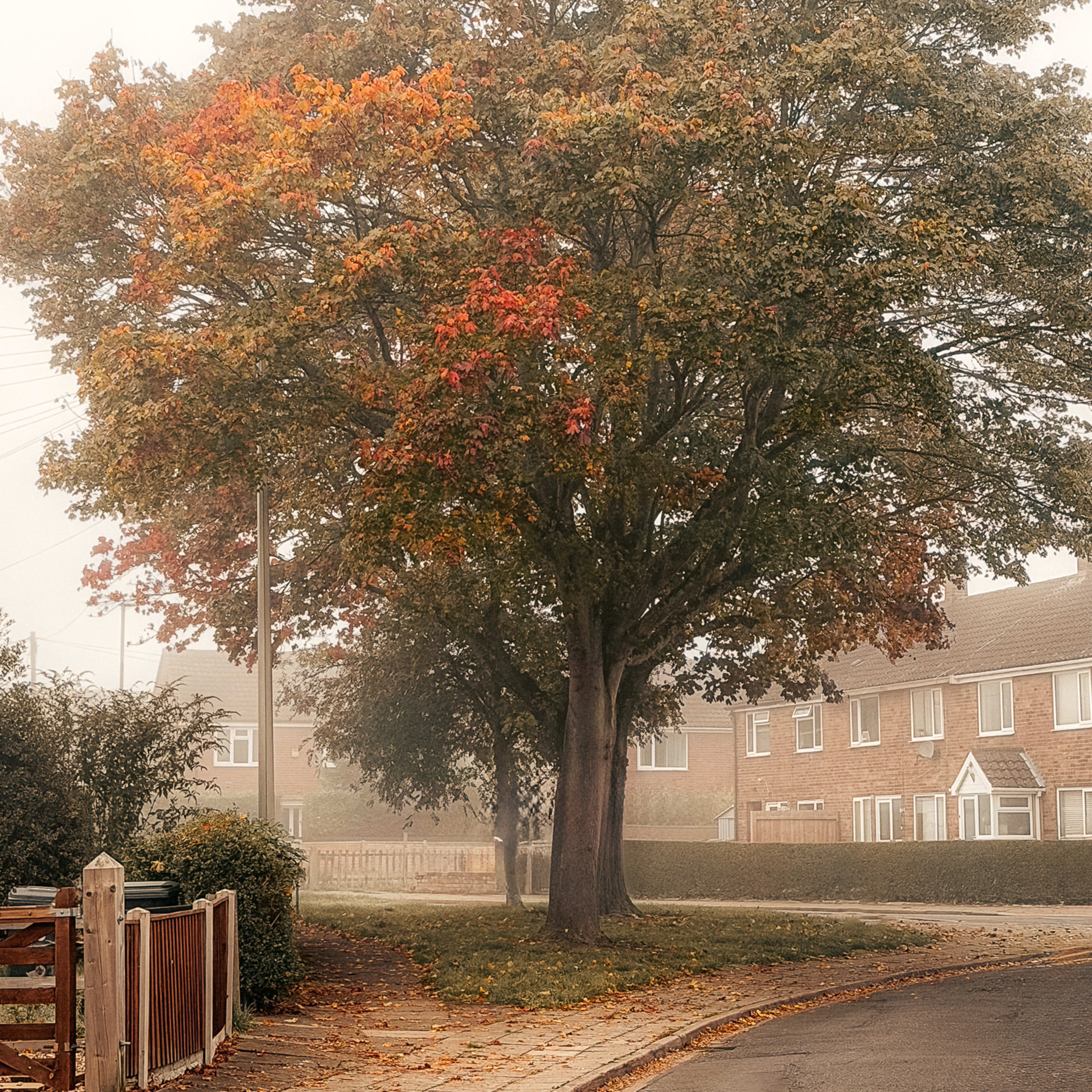 Nottingham gallery cover