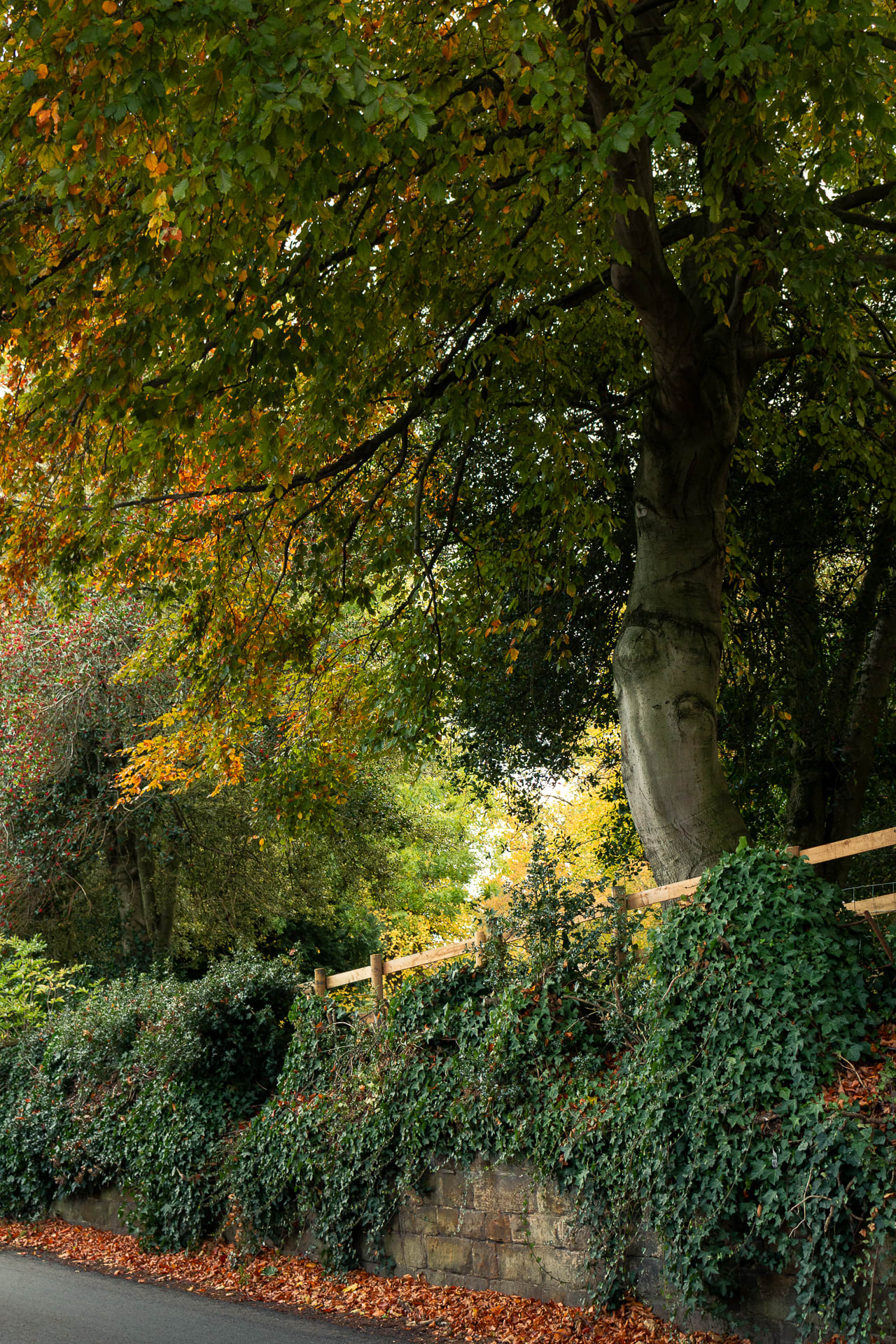 Selected photograph 3 by Leon Westmoreland