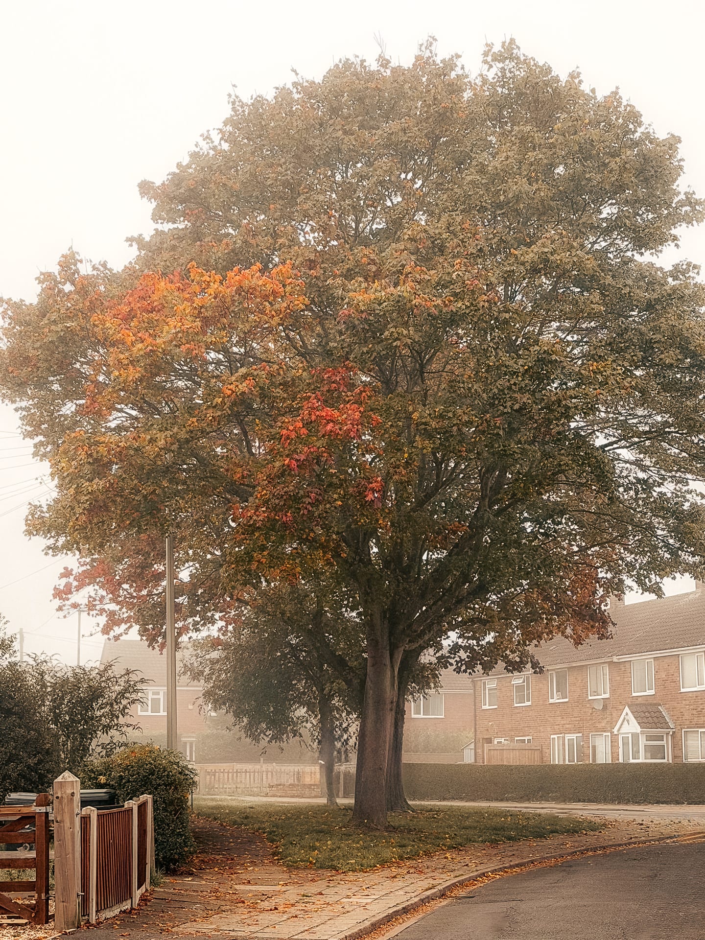 Selected photograph 4 by Leon Westmoreland