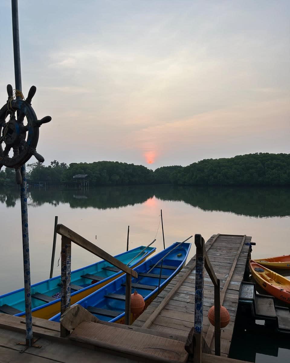 peaceful kayaking spot in the mangrove forest