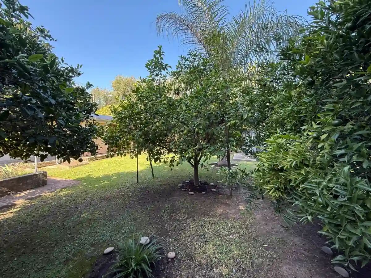 Casa en Venta Modarelli 445 - Miniatura 7