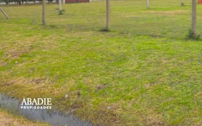 Lote en Venta-Astelarra casi Maffeis-Los Pioneros