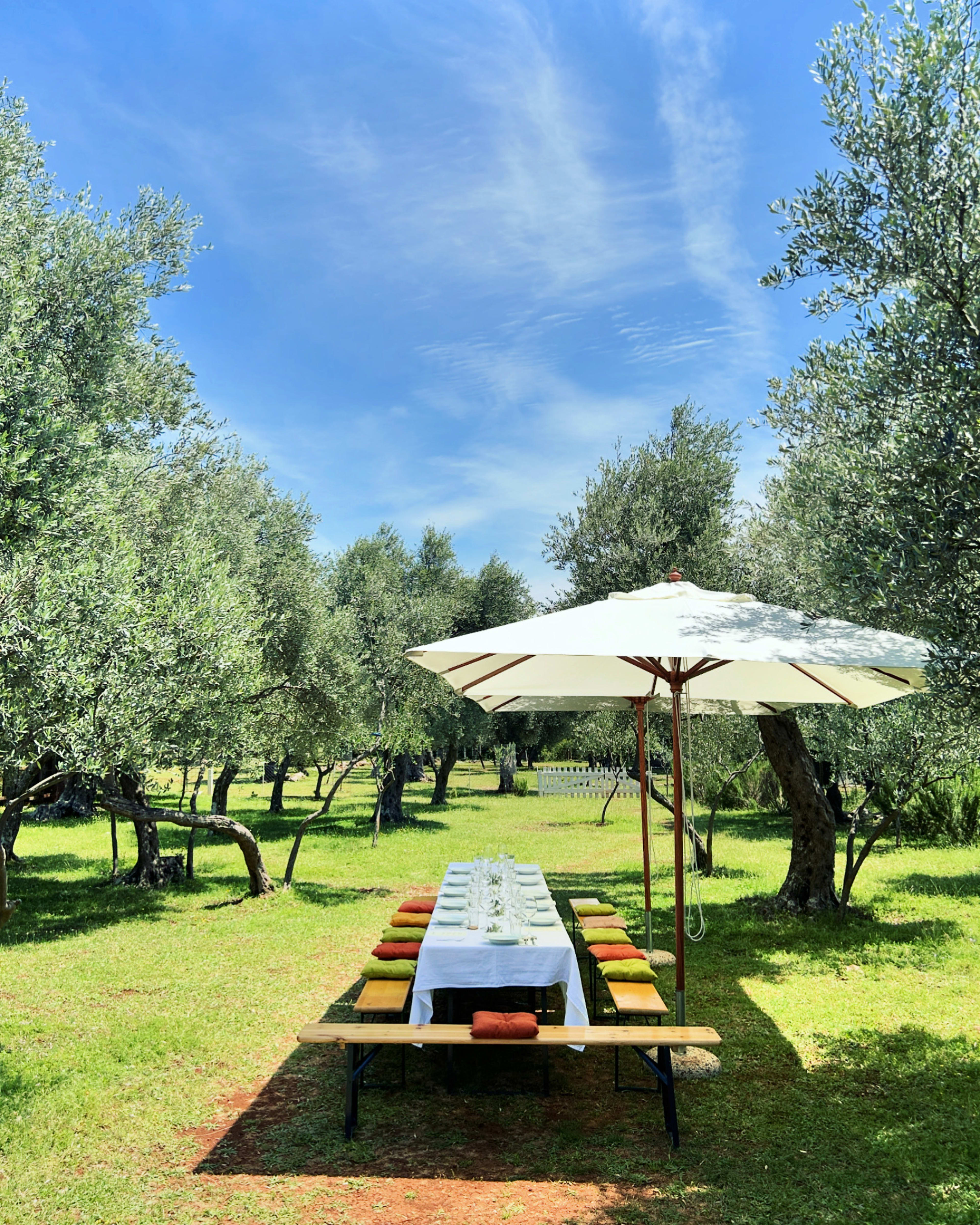 THE WILD TABLE - Image 10