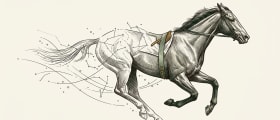 Can Data Predict a Horse Race?