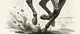 The Going Explained: How Ground Conditions Decide Races