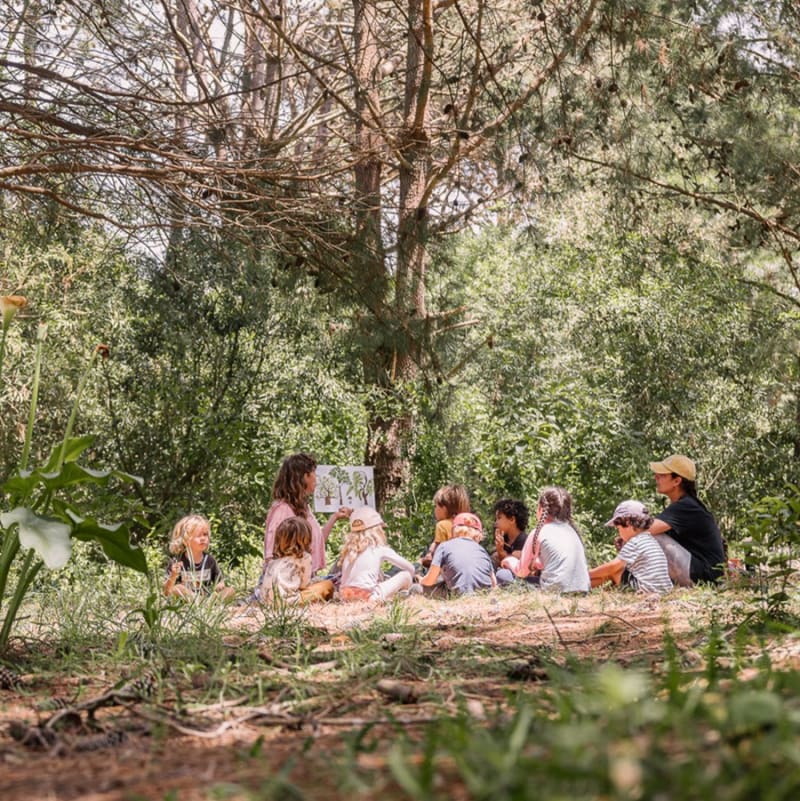 Experiencia Portal — imagen 2