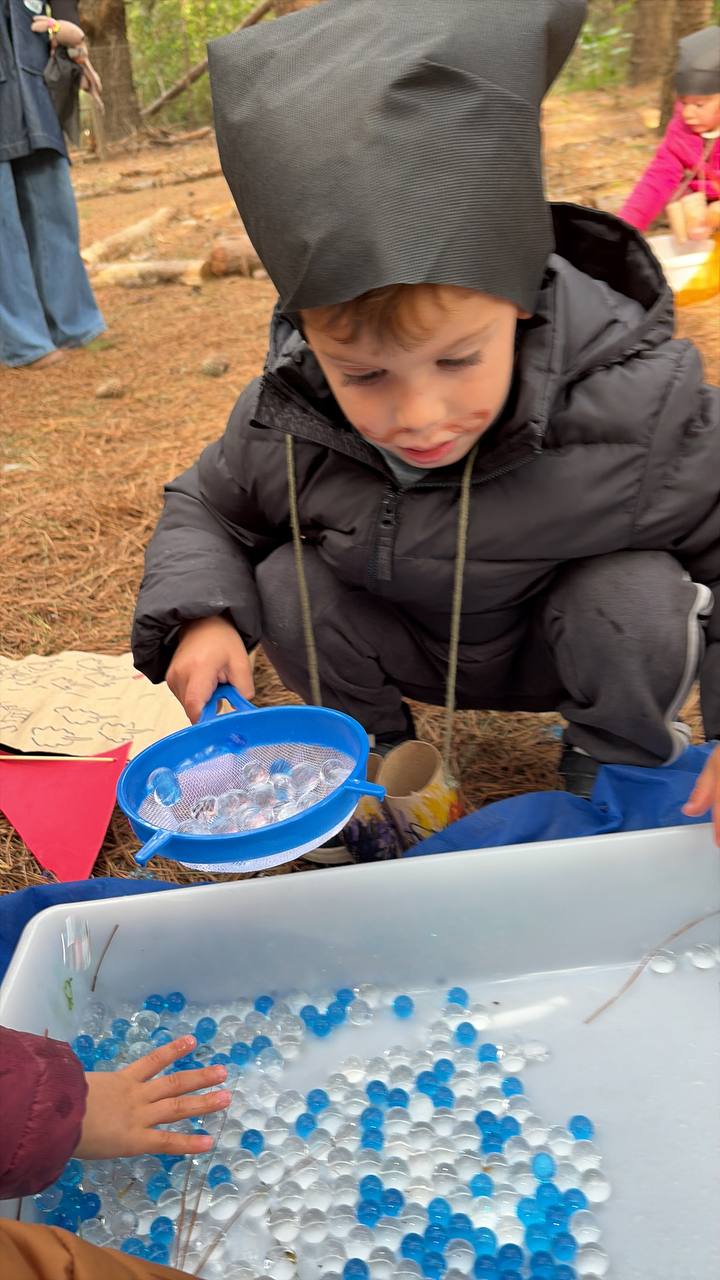 Exploración sensorial en la isla mágica