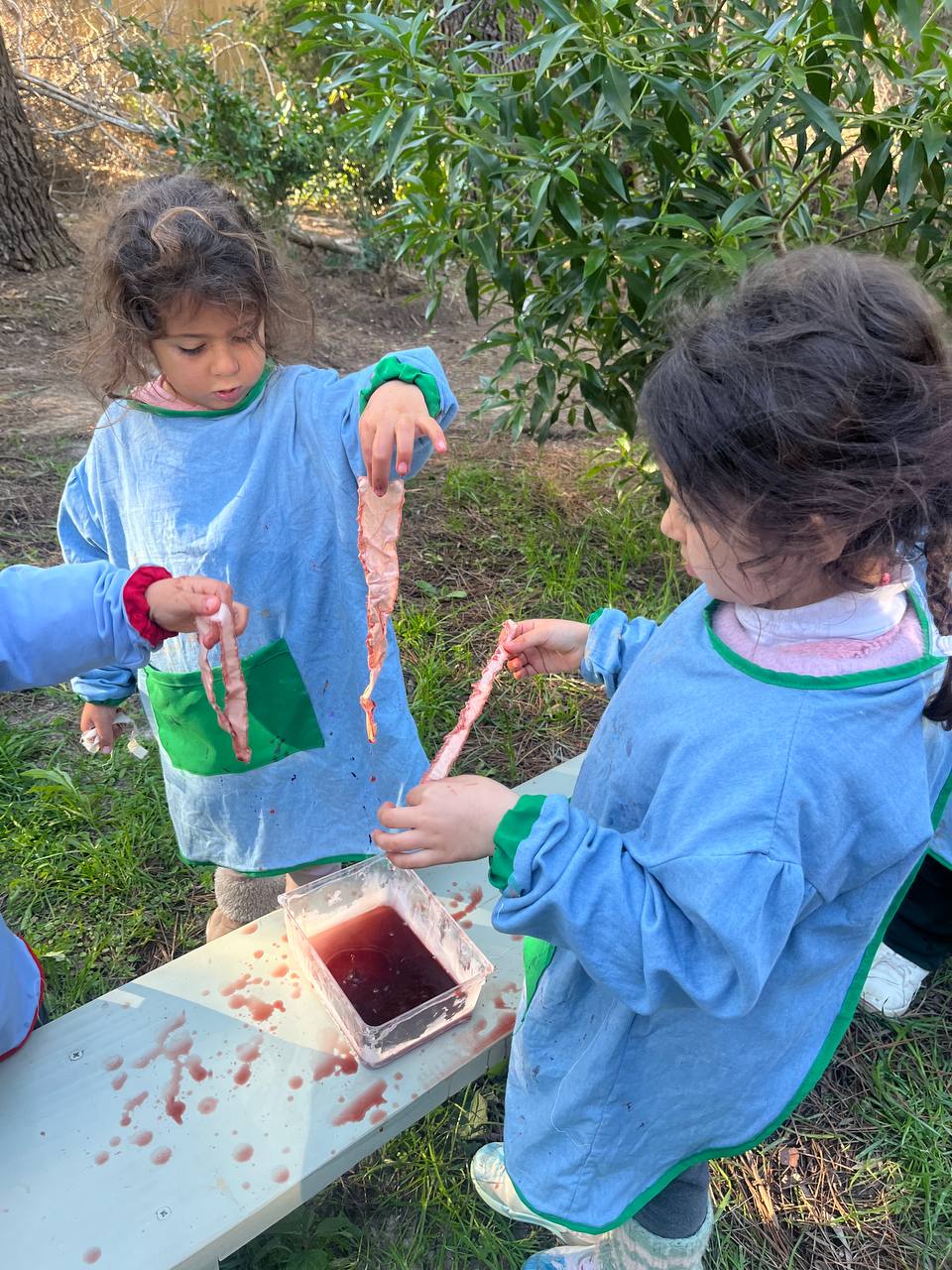 Experimentos e Inventos - registro de experiencia