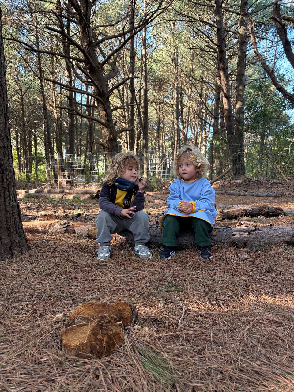 Dos niños conversando sobre un tronco dentro del bosque