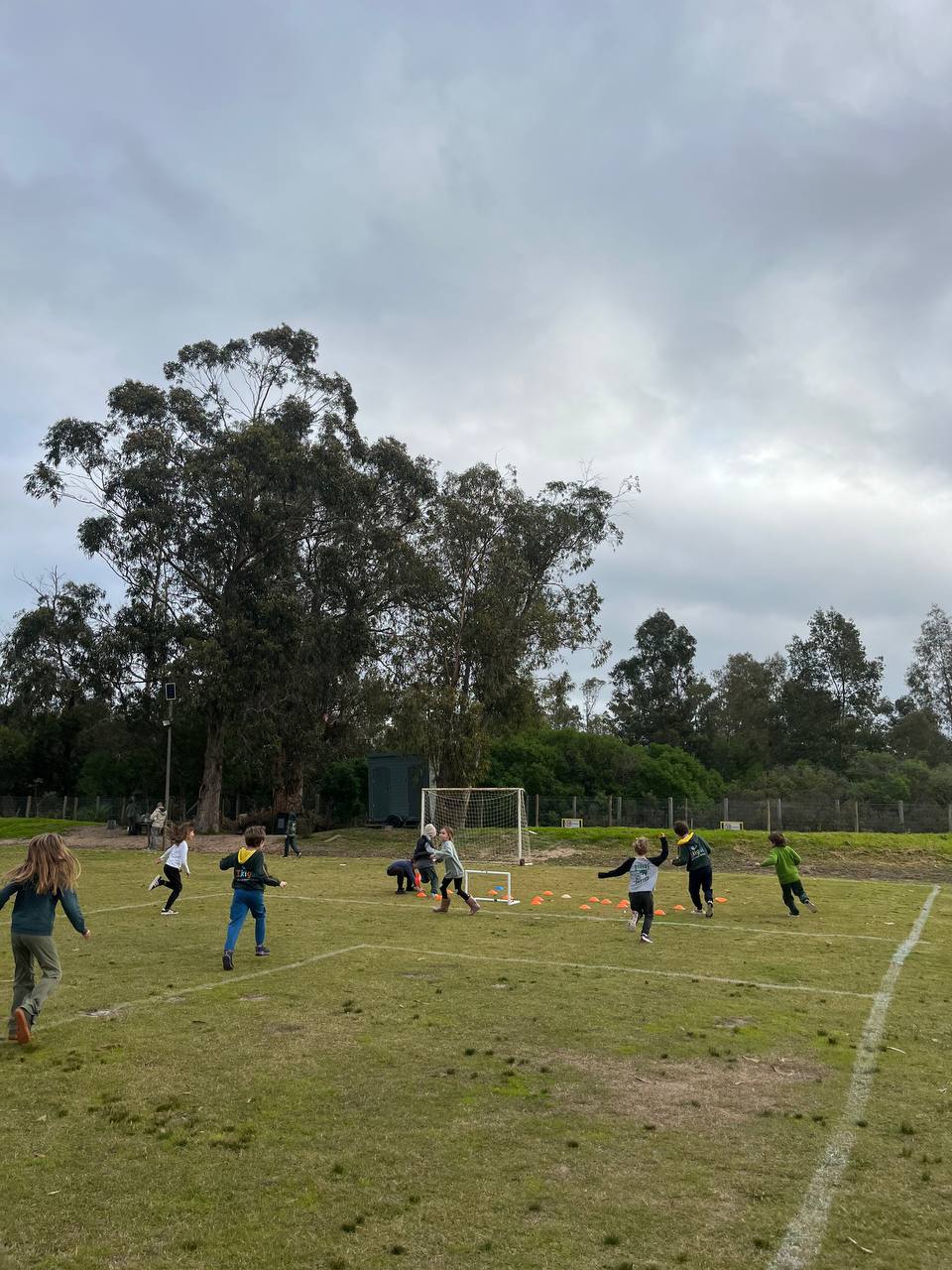Siendo Estrellas - registro deportivo Taller 1A