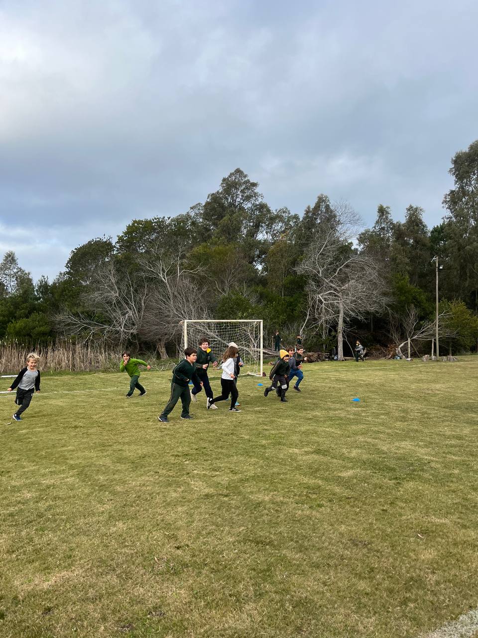 Siendo Estrellas - registro deportivo Taller 1A