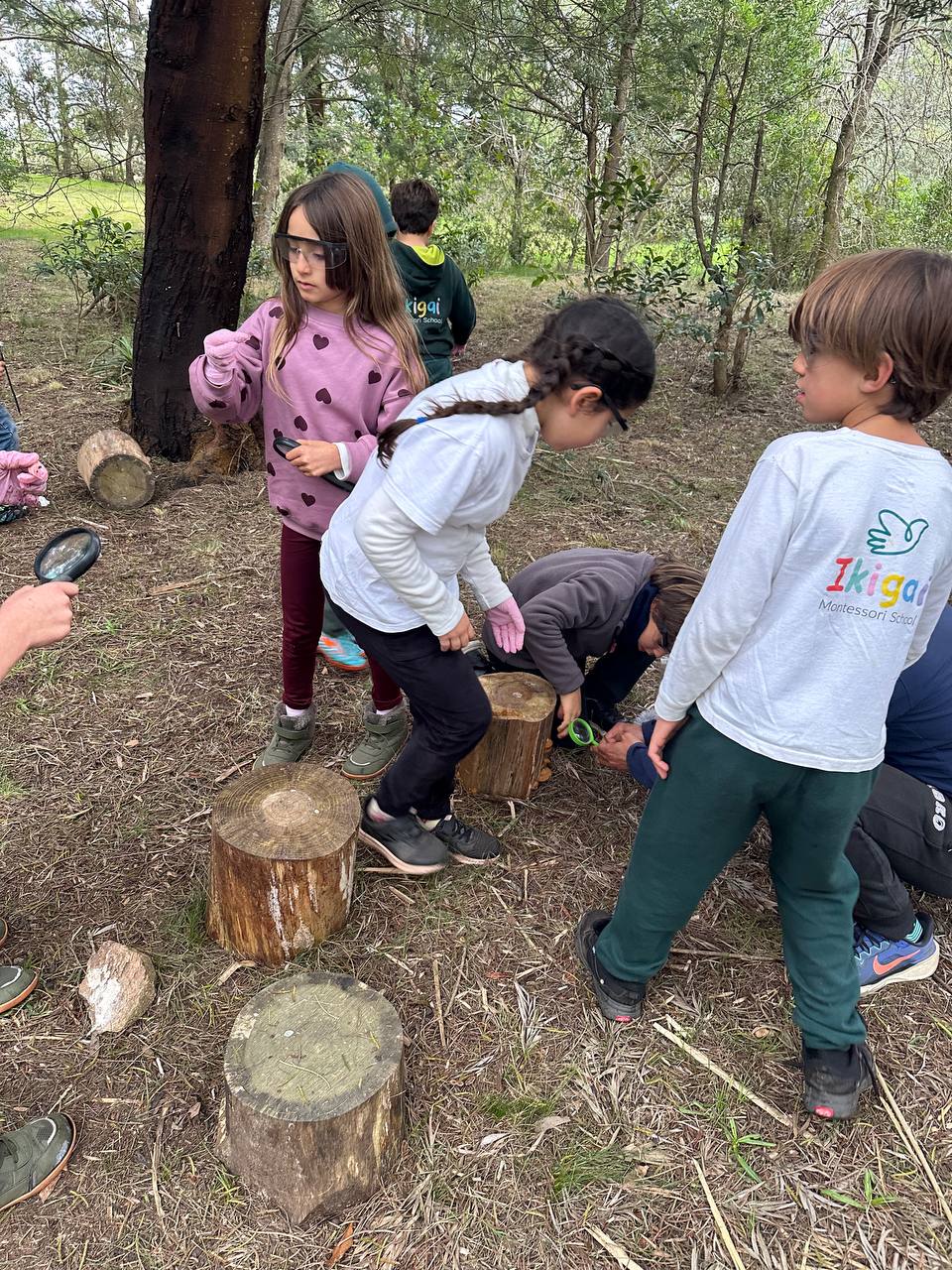 Registro de Exploradores Intergalácticos