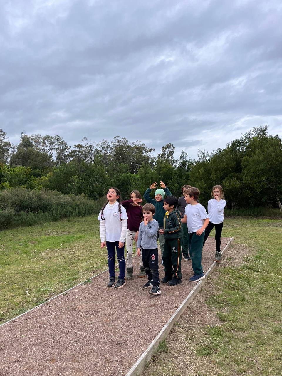 Registro de Siendo Estrellas — Taller 1