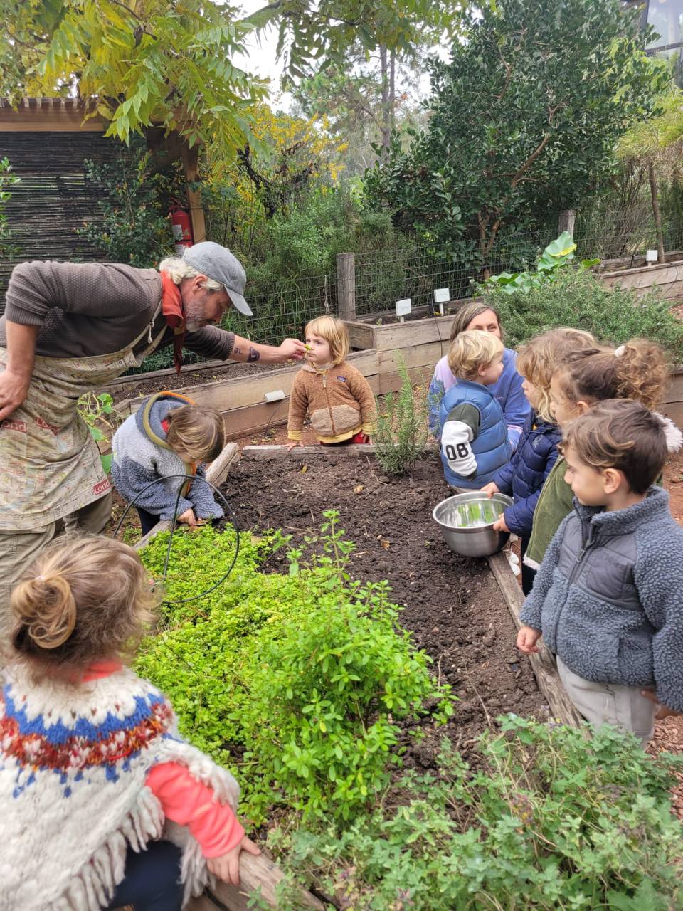 Un niño sostiene un recipiente con hierbas recolectadas en la huerta