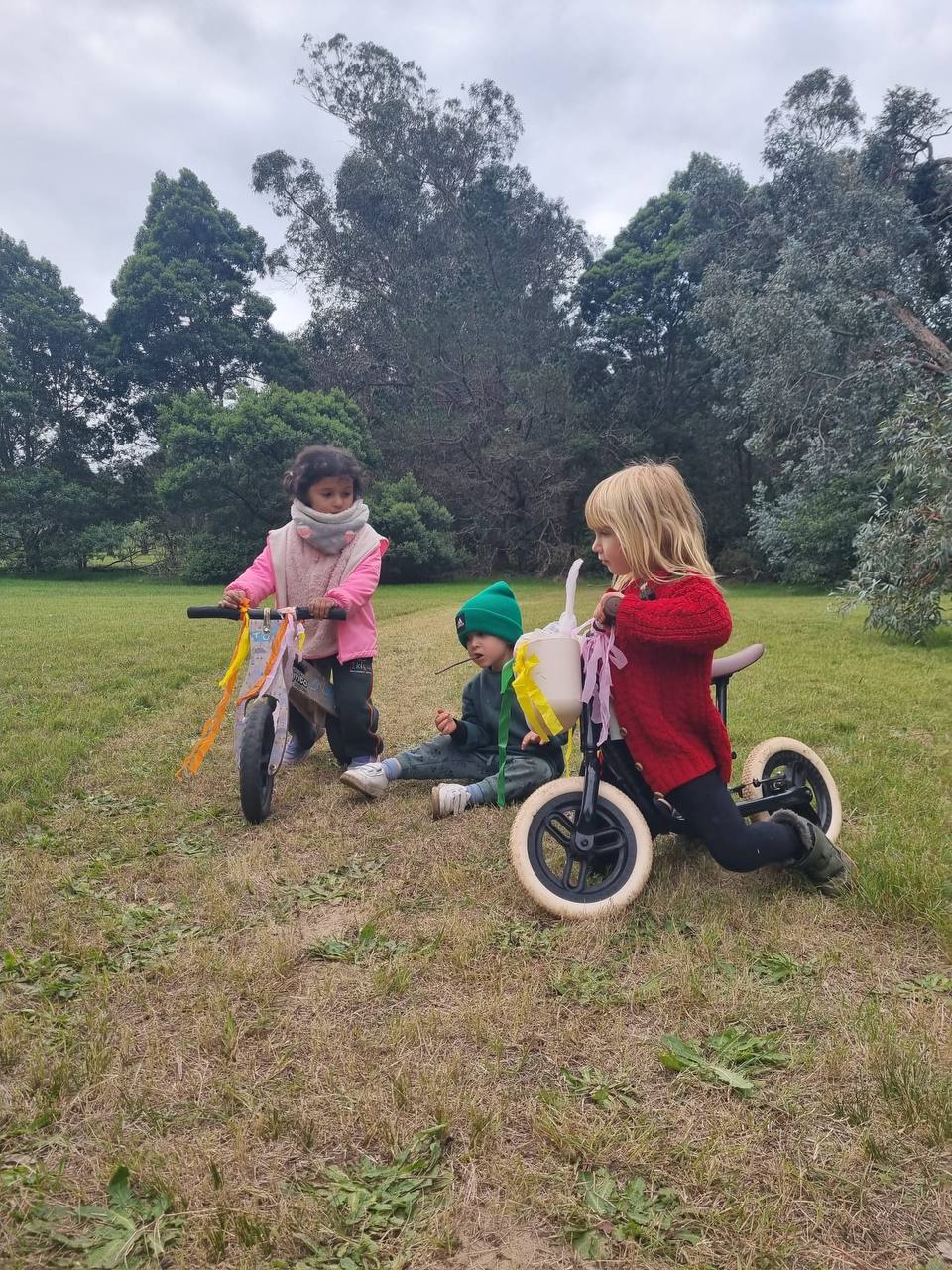 Fotos para registro semanal: recorrido con bicis y celebracion del Dia de las Bicis.