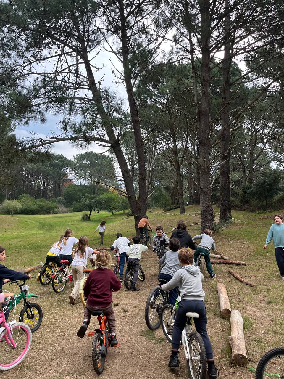 Fotos del encuentro del Día de la Bicicleta: recorrido, señalizaciones, circulación y entrega de carnets.